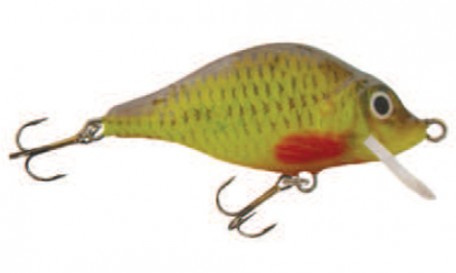 Carp Floater